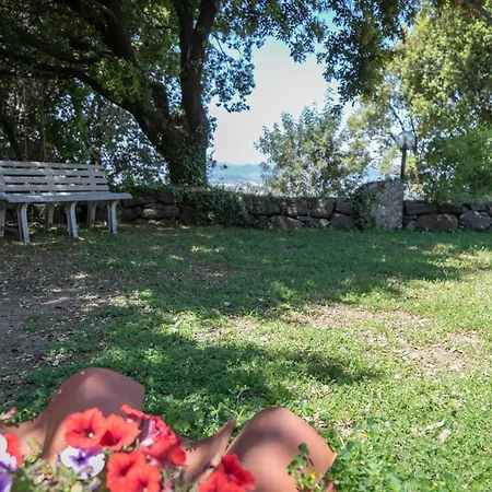 Del Noce - Apartamento *