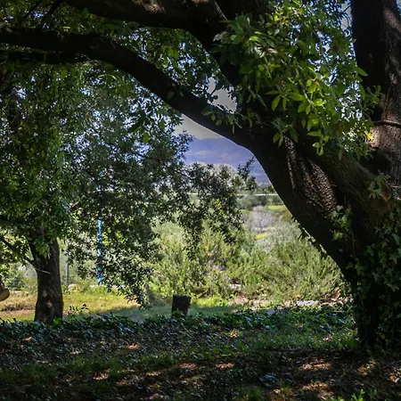 Apartamento Del Noce - *