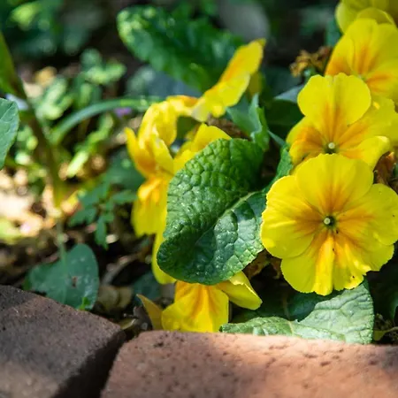 Apartamento Del Noce -