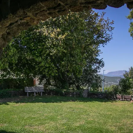 Del Noce - * Dorgali